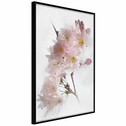 Paris Prix Affiche Murale Encadrée Scent of Spring 30 x 45 cm Noir