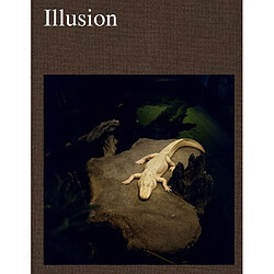 Illusion - Occasion