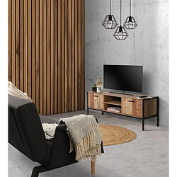 Toilinux Meuble TV Riverside - 2 Portes - Largeur 124 cm - Métal et Bois