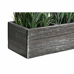 Avis Plante décorative DKD Home Decor Bois Polyéthylène 32 x 14 x 19,5 cm (2 Unités)