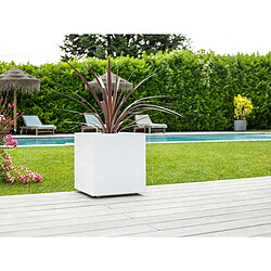 Acheter Jardinière carrée Graphit 39,5 x 39,5 x 43,5 cm - 35 L - Blanc cérusé - Eda