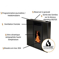 Interstoves Poêle à granules TESSA 10 Etanche Concentrique - Bordeaux