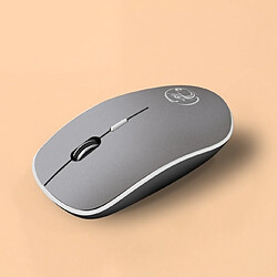 Wewoo Souris sans fil 2.4Ghz 1600 DPI USB silencieuse et ergonomique USB (Gris)