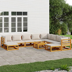 Maison Chic Salon de jardin 11pcs + coussins - Mobilier/Meubles de jardin - Table et chaises d'extérieur gris clair bois massif -MN38962