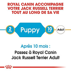 Acheter Royal Canin Race Jack Russell Junior