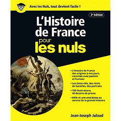 L'histoire de France pour les nuls - Occasion