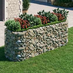 Maison Chic Jardinière,Lit surélevé - Bac à fleurs - pot de fleur à gabion Fer galvanisé 300x100x100 cm -GKD37589