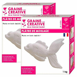 Graines Creatives Plâtre de moulage 2 kg