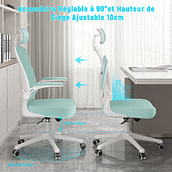 BIGZZIA Chaise de Bureau - Ergonomique Fauteuil avec 2D Accoudoirs, Hauteur Appui-tête Soutien Lombaire Dossier Règalable Vert pas cher