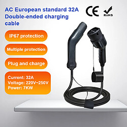 Câble de Charge EV Voiture Électronique 7KW 32A Type 2 Triphasé FERRASTAR-Noir avec Sac Cadeau