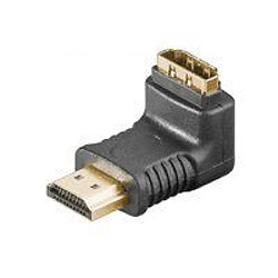 Disney Microconnect HDM19F19MA2 adaptateur et connecteur de câbles