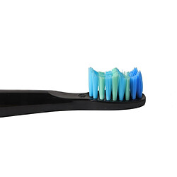 Acheter Lot De 10 Têtes De Brosse à Dents De Remplacement Sonique Pour Brosse à Dents électrique Seago