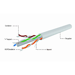 Gembird Bobine de câble réseau Ethernet UTP gris 305mrigide Cat.6