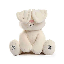 Avis Universal Parler électronique et chanter en peluche douce et en peluche musicale