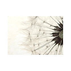 Artgeist Papier peint - White Dandelion [350x245]