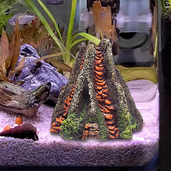 Volcan de l'Aquarium