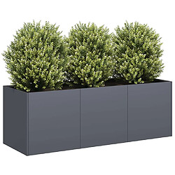 vidaXL Jardinière anthracite 120x40x40 cm acier laminé à froid