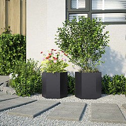 Avis vidaXL Jardinières 2 pcs noir hexagone 46x40x45 cm acier