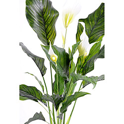 Avis Pegane Plante artificielle haute gamme Spécial extérieur / SPATHIPHYLLUM Artificiel - Dim : 80 x 50 cm