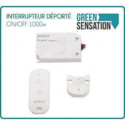 Desineo Interrupteur déporté ON / OFF 1000 W avec télécommande