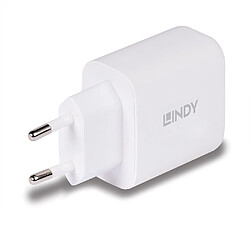 Lindy 73428 mobile device charger