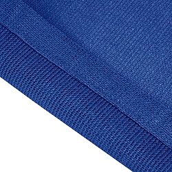 Acheter vidaXL Tapis de tente 250x400 cm Bleu