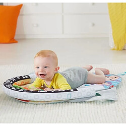 Fisher Price - Tapis D'eveil Activity 2 En 1