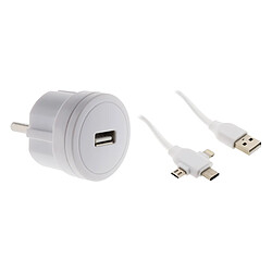 Adaptateur USB 2,1A avec cordon USB universel 1m - Zenitech