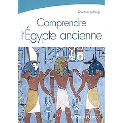 Comprendre l'Egypte ancienne - Occasion