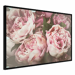 Paris Prix Affiche Murale Encadrée Pastel Peonies 30 x 20 cm Noir