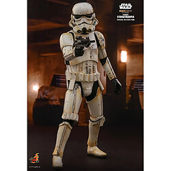 Avis Hot Toys TMS011 - Star Wars - The Mandalorian - Remnant Stormtrooper