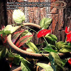 Acheter Universal Habitats de reptiles Décoration de lézards Caméléons Boîte de reptiles Forêts tropicales Paysages Simulations Plantes Vignes Simulations Vignobles | Habitat Decoration