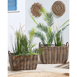 Beliani Lot de 2 pots de fleurs ORMOS Polyrotin Marron