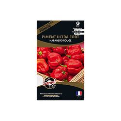 Sanrival Graines potagères premium piment Ultra fort Habanero