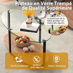 Helloshop26 Table basse ovale en verre trempé à 2 niveaux table de salon moderne avec coussinets de pied réglables et cadre en métal 20_0005981