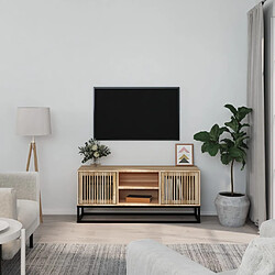 vidaXL Meuble TV 105x30x45 cm bois d'ingénierie et fer