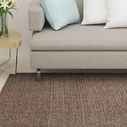 vidaXL Tapis Sisal naturel 80x350 cm Marron