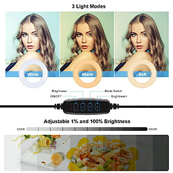 Yonis Ring Light LED 10.2 Pouces USB 3 Modes pas cher