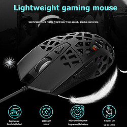 Avis Universal Des souris ergonomiques légères (noir)