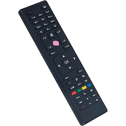 SANAG 3In1 Rc4849 4870 4875 Remplacement De La Telecommande Convient Pour Vestel Telefunken Jvc Finlux Sharp Selecline Hitachi Techwood Technika Gogen Tv Models