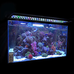 Acheter Lumière D'aquarium à LED Réglable Pour Réservoirs Plantés, Spectre Complet UK 40cm 12W