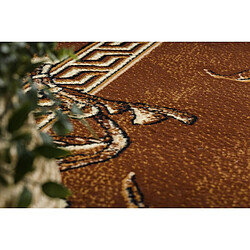 RUGSX BCF Rug Morad TRIO fleurs, feuilles classique - marron 200x300 cm pas cher