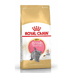 Royal Canin Race British Shorthair Kitten