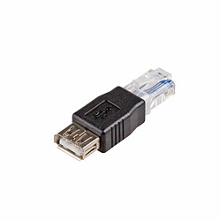 Adaptateur USB 2.0 vers RJ45 Akyga AK-AD-27