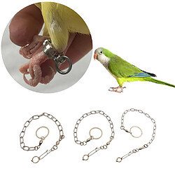 animal de compagnie laisse laisse perroquet pied chaîne en acier inoxydable formation anklet anneau 07 pas cher