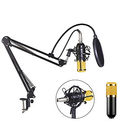 Universal Microphone à condensateur BM800 Microphone d'enregistrement professionnel pour téléphone portable Microphone PC Set de microphone Carla Carte son Micro | Microphone