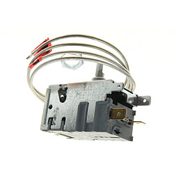 Indesit THERMOSTAT 077B-6189 C.POST (L.403) ROHS