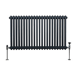 Monstershop Radiateur Traditionnel à Double Colonne – 600 x 1012 mm – Gris Anthracite