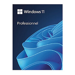 Microsoft Windows 11 Pro - Licence perpétuelle - 1 PC - A télécharger