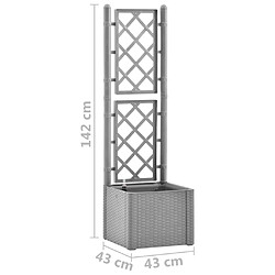 vidaXL Lit surélevé de jardin et treillis et système d'arrosage Gris pas cher